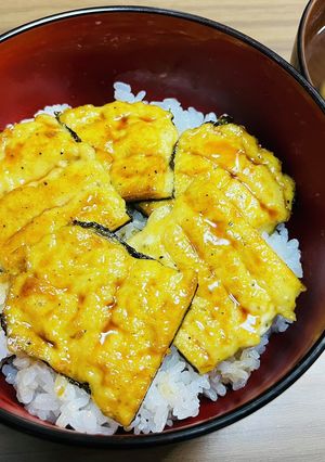 A picture of SDGs Unagi Don (Sustainable Eel Rice Bowl).