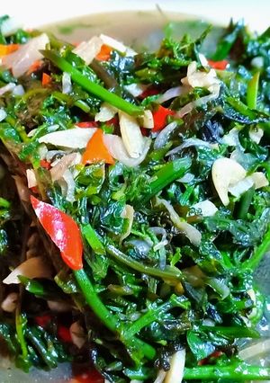 Foto resep Tumis Pakis
