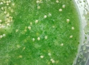 Una foto de Salsa verde cruda