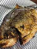 Simple Air Fryer Fish - Pompano with moist meat - Pomfret