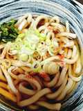 Budget-Friendly Boiled Udon: Easy Kake Udon