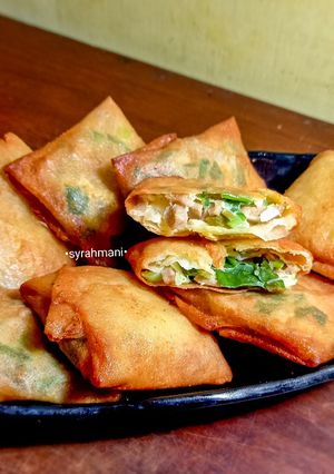Foto resep Martabak telur isi bakso sapi
