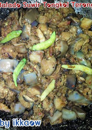 Foto resep Balado Suwir Tongkol Terong ndower