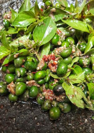 Foto resep Karedok Leunca