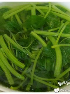 Foto resep Bayam sayur bening