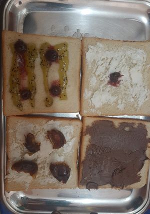 عکسی از دستور لقمه صبحانه
