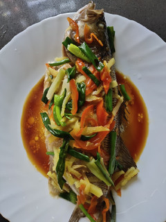 A picture of Fish Steam.