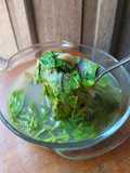 Sayur Bening Kelakai