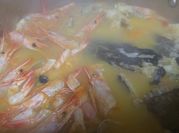 Una foto de rape thermomix
