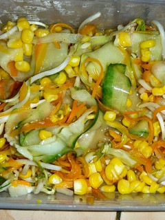 Foto resep Japanese Salad