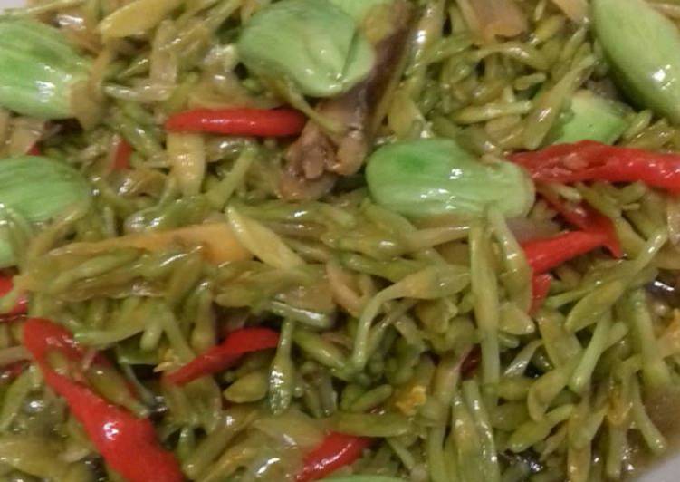 Tumis bunga pepaya