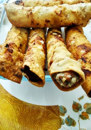 A picture of Karela kabab with papad wrap.