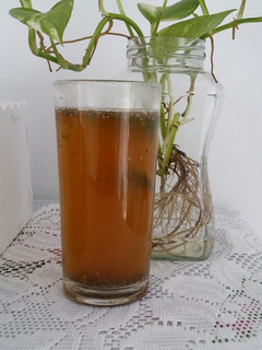 Foto resep Wedang Jahe mint
