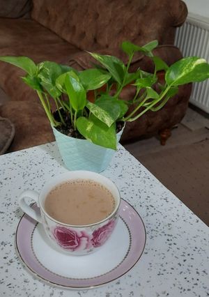 عکسی از دستور شیرچای پاکستانی