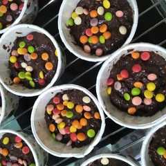 A picture of Choco Muffin.
