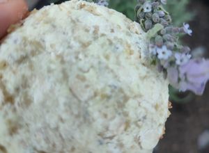 Una foto de Galletas de lavanda (para días difíciles con las Bendis)