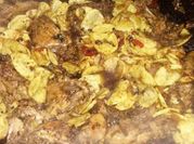 Una foto de pollo al disco condimentos