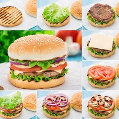 A picture of Burger.