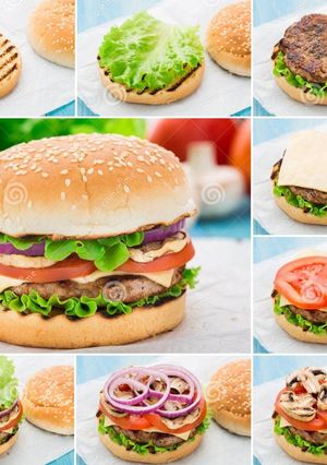 A picture of Burger.