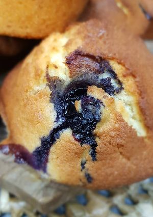 Une photo de Muffins aux myrtilles