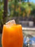 Agua Natural De Zanahoria Y Toronja