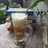 Kurma Latte