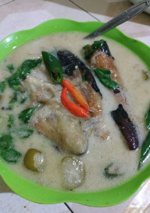 Foto resep Terong Bakar santan campur bayam #0001