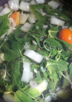 Foto resep Sayur Bayam Bening