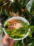Phở trộn chay