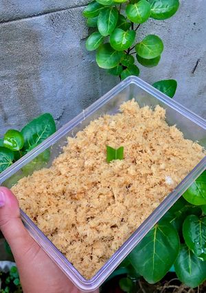 Foto resep Unti Kelapa