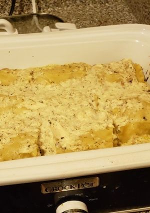 A picture of Chicken alfredo lasagna roll ups.