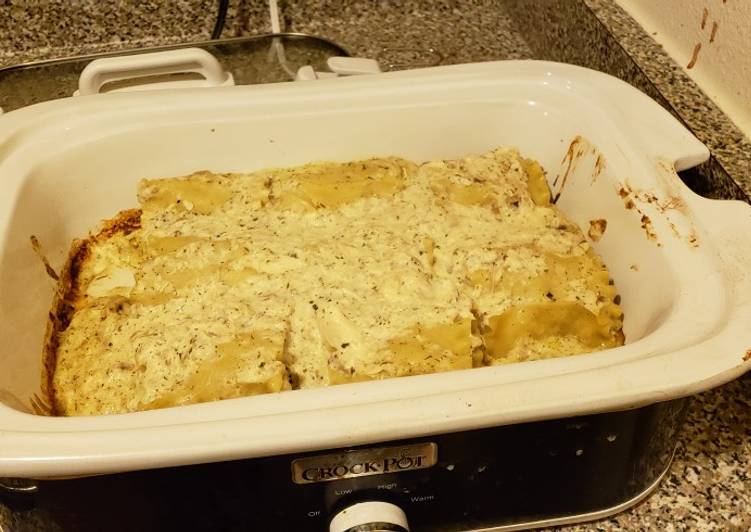 Chicken alfredo lasagna roll ups