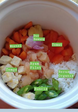 Foto resep MPASI 6 Bulan (Ayam,tempe,tomat,buncis,wortel)