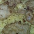 صيادية فيليه🐟🐟