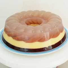 Puding Regal রেসিপির প্রধান ছবি