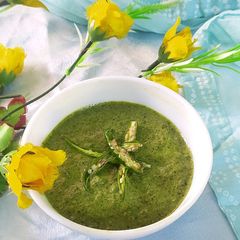 A picture of Theekhi Dhaniya Pudina ki chutney.