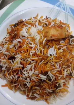 A picture of Daigi Biryani.