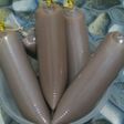 Es Mambo Chocolatos