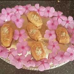 A picture of Khaja.