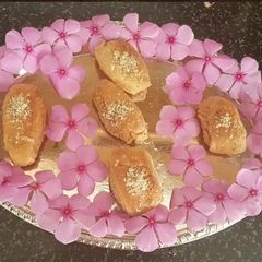 A picture of Khaja.