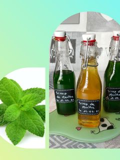 Une photo de Sirop de menthe