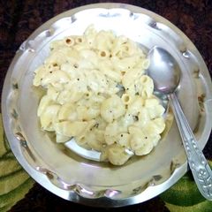 A picture of Macaroni.
