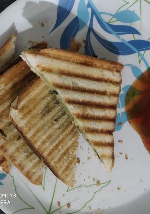 ગ્રીન સેન્ડવીચ (Green Sandwich Recipe In Gujarati) રેસીપી મુખ્ય ફોટો