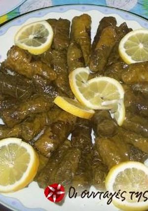 A picture of Sarmadakia.