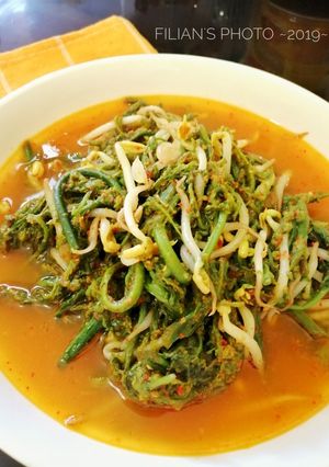 Foto resep Tumis Pakis dan Tauge