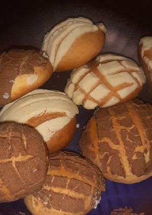 Una foto de Conchas