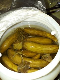 عکسی از دستور خیارشور یک روزه
