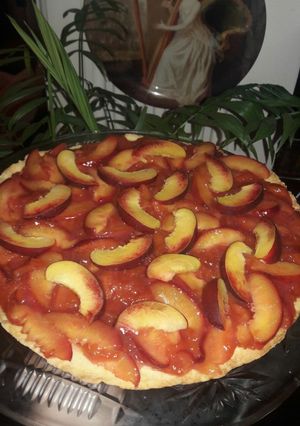 عکسی از دستور تارت شلیل