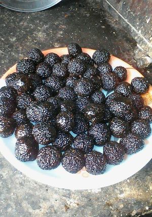 A picture of Black til ke ladoo.