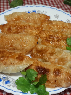 Foto resep Kuotie or Gyoza?